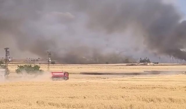 Şanlıurfa'da yüzlerce dönümlük ekili arazi yandı