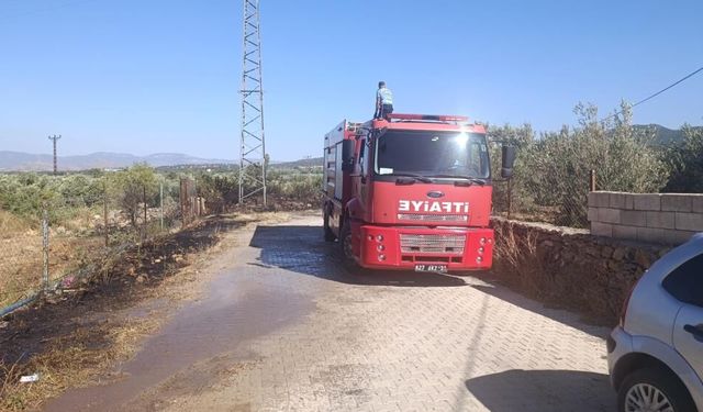 Gaziantep'te zeytinlik yangını!