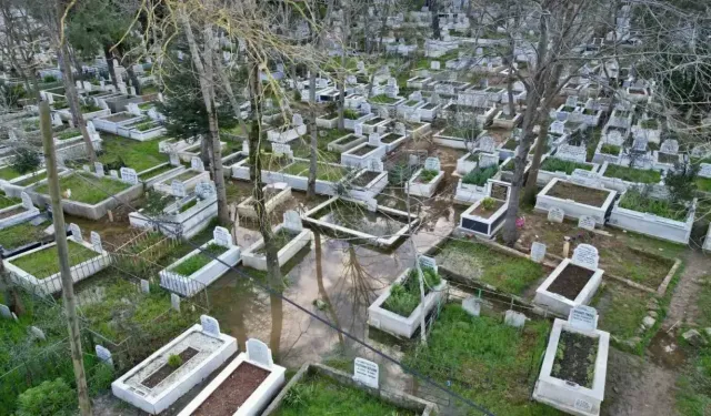 TÜİK açıkladı! Acı tablo ortaya çıktı! Türkiye'nin ölüm haritası yayımlandı! 491 bin…