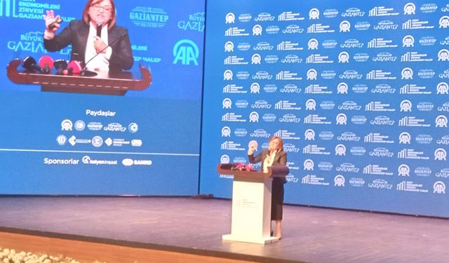 Gaziantep-Suriye arasında Meydan Ekbez Sınır kapısının açılması talebi