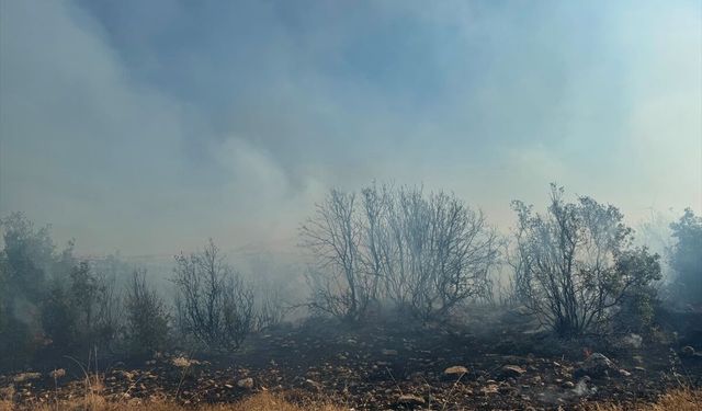 Gaziantep'te orman yangını kontrol altına alındı: 2 hektarlık alan zarar gördü