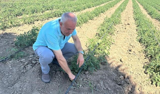 Sözleşme yaptığı firma ürünü almadı, milyonlarca zarar etti!