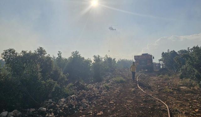 Gaziantep'te orman yangınına havadan ve karadan müdahale! 2 hektarlık alan zarar gördü