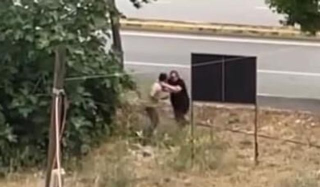 Amcasını palayla öldürdü