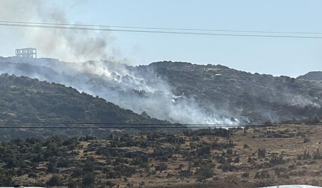 Gaziantep'te makilik alanda yangın (VİDEOHABER)