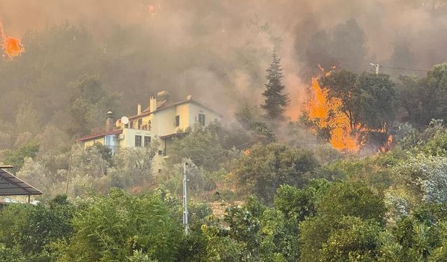 Orman yangını: 17 personel ve 126 araçla mücadele devam ediyor!