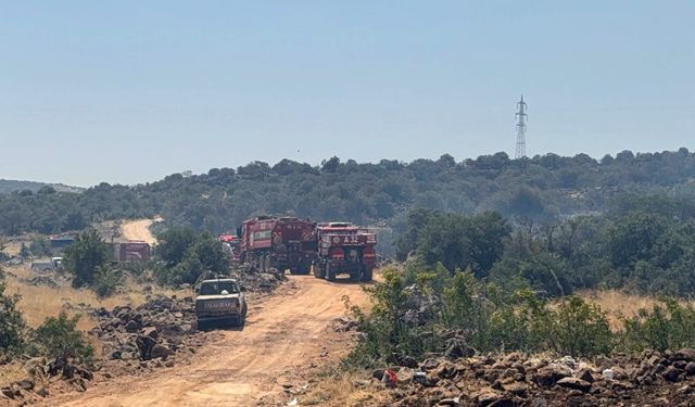 Gaziantep'te alevler yükseldi! Ormanda yangın çıktı! Ekiplerin müdahalesi sürüyor