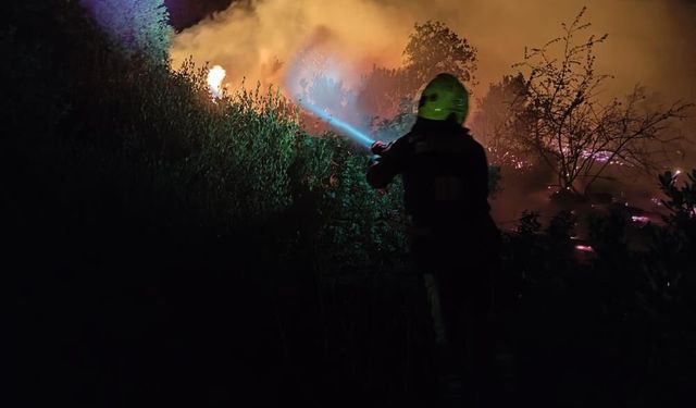 Orman yangınına müdahale sürüyor: 450 hektarlık alan etkilendi