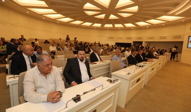 BÜYÜKŞEHİR BELEDİYESİ MECLİS KARARLARI İNCELEME RAPORU