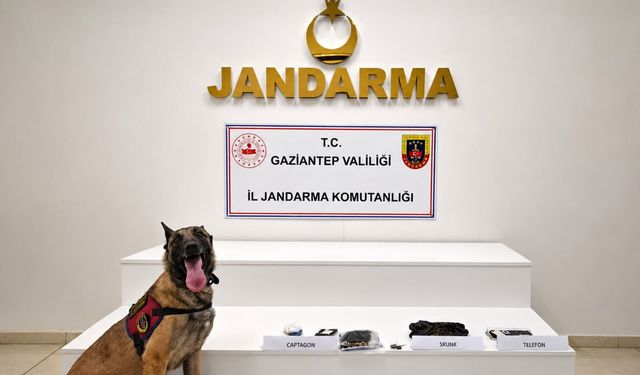 Gaziantep zehir tacirlerine dev operasyon! 70 şüpheli yakalandı