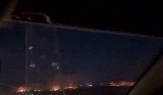 Gaziantep'te orman yangını!