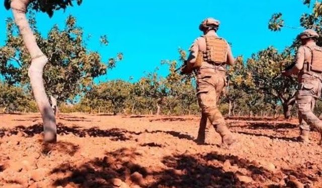 Gaziantep’te fıstık hırsızlarına karşı seferberlik başlatıldı: Ali Şahin önlemleri duyurdu!
