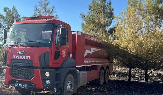 Gaziantep'te orman yangını!