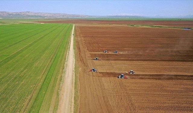 TÜİK verileri açıkladı! Tarımsal girdi fiyat endeksi yüzde 32,06 arttı