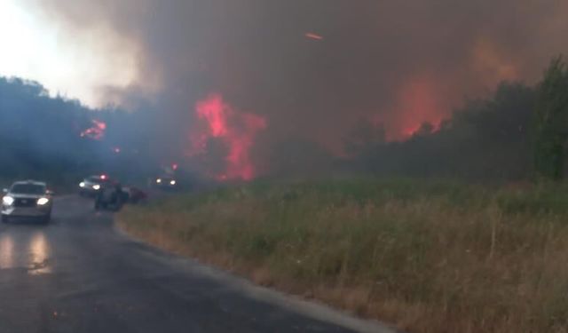 Çanakkale'de orman yangını