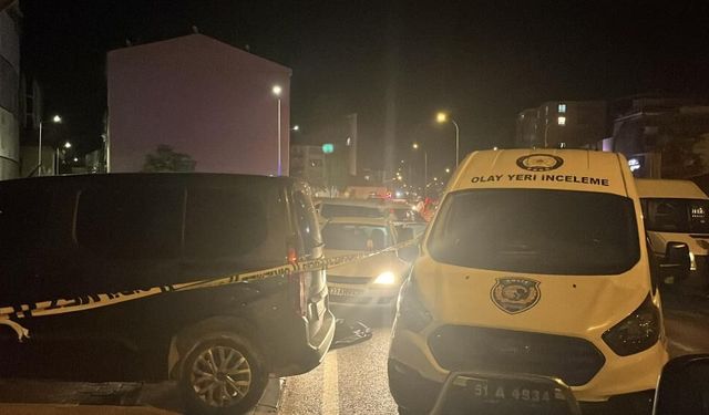 Yol kenarındaki araçta korkunç olay