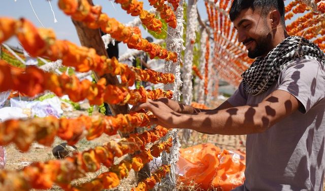 Sıcak hava en çok onlara yaradı: Gaziantep’te kurutmalık sezonu başladı