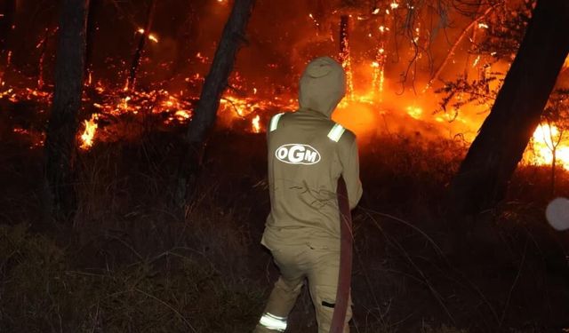 Orman Genel Müdürlüğü'nden yangınlara ilişkin açıklama
