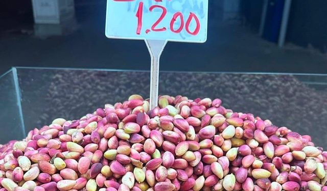 Antepfıstığı tezgahlardaki yerini aldı! Kilogramı 1200 TL…