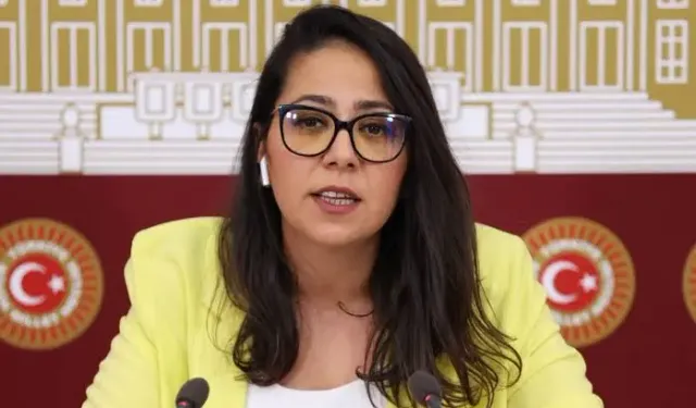 Milletvekili Saliha Sera Kadıgil hakkında soruşturma!