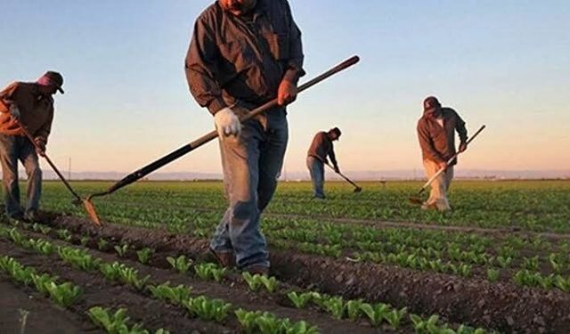 Gaziantep’te Arabanlı çiftçilere münavebe müjdesi