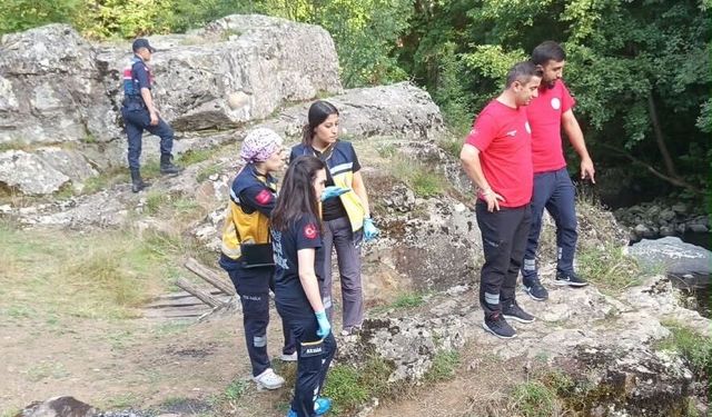 Koyun otlatmak için araziye çıkmışlardı! İki kardeş her yerde aranıyor