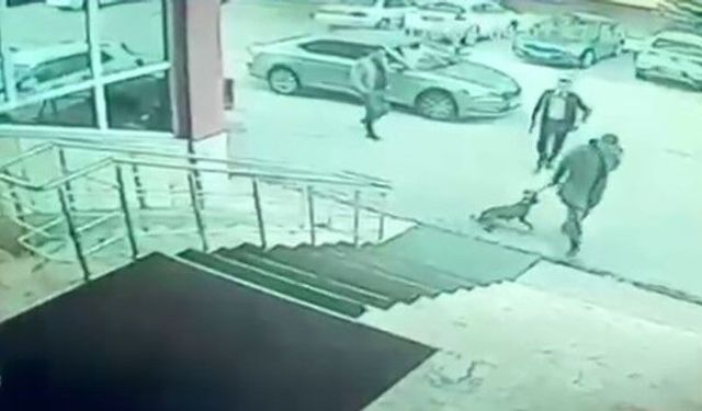 Kaymakam ve korumasına soruşturma açıldı