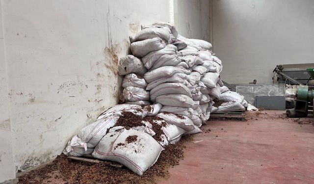 Gaziantep’te biber işletmelerine şok denetim! 70 ton ürün imha edildi…