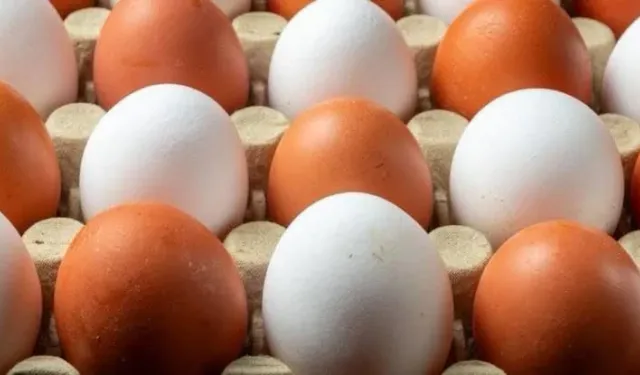 Salmonella salgını devam ediyor: Vaka sayısı 318’e yükseldi