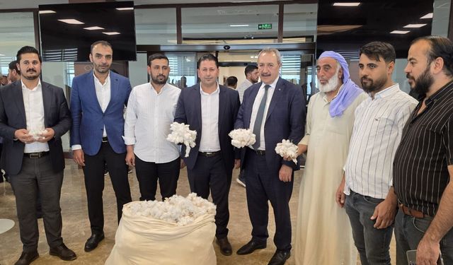 Şanlıurfa’da sezonun ilk pamuğu ihaleyle satıldı