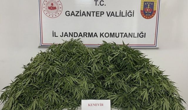 Gaziantep’te jandarma suçlulara göz açtırmıyor