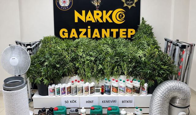 Gaziantep’te zehir tacirlerine aman yok! Binlerce zehir taciri yakalandı