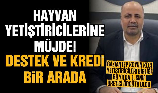 Gaziantepli hayvancılara müjde! Destek ve kredi bir arada