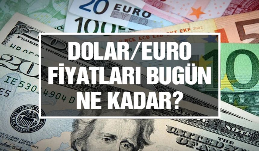 Dolar bugün kaç TL? (29 Kasım 2023 dolar - euro fiyatları)