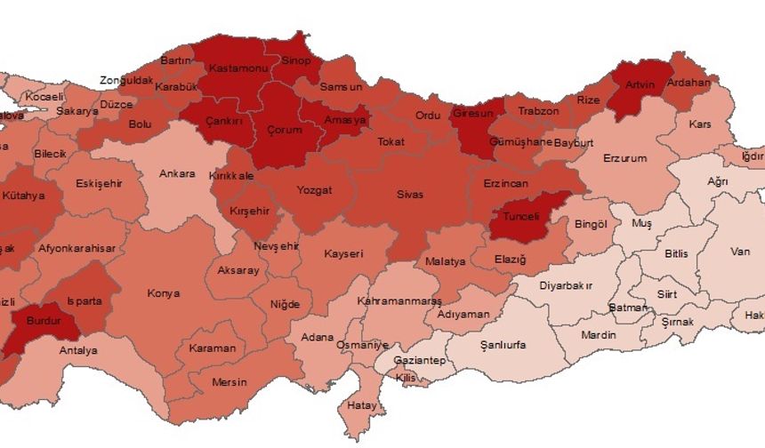 Türkiye Yaşlanıyor:  Yaşlı Nüfusu 8 Milyon 722 Bin Kişiye Ulaştı