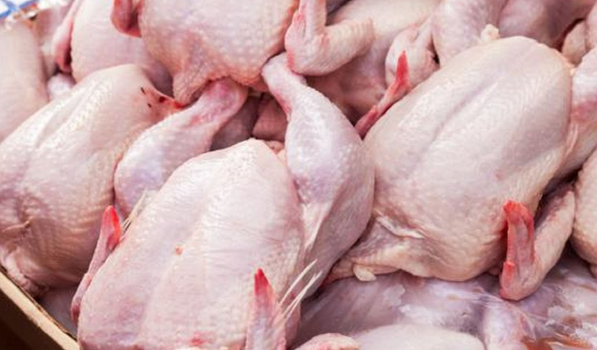 Gaziantep’te tavuk fiyatları düşecek!