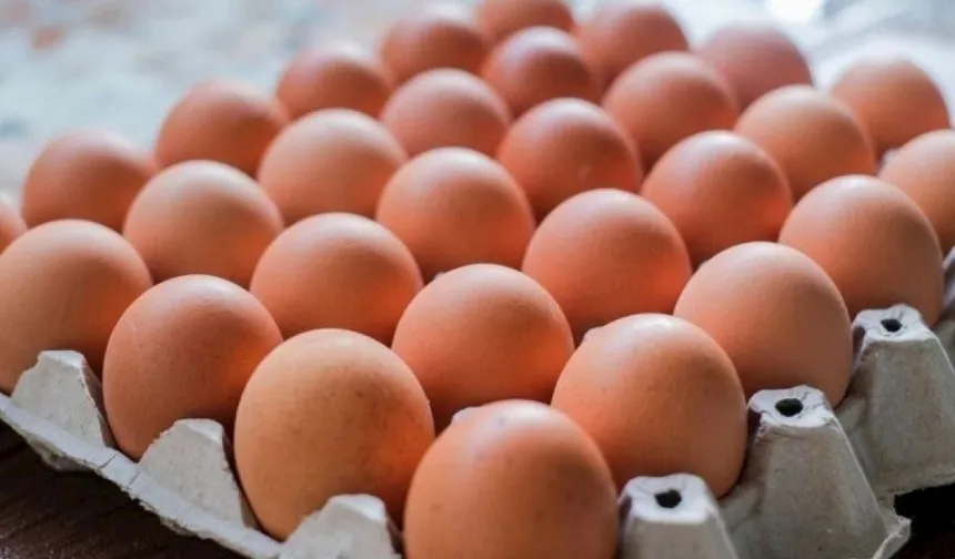 Yumurta Üretiminde 1,2 Milyar Adetlik Düşüş: Fiyatlar Artacak mı?
