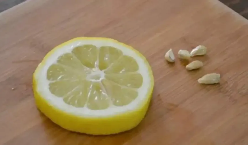 Limon Çekirdeği Kaynatıp İçen Dert Görmüyor! Sindirim, İltihap, Bağışıklık…