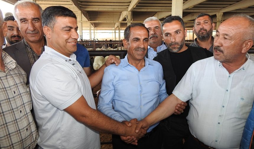 Gaziantep'te Kurbanlık Telaşı başladı...