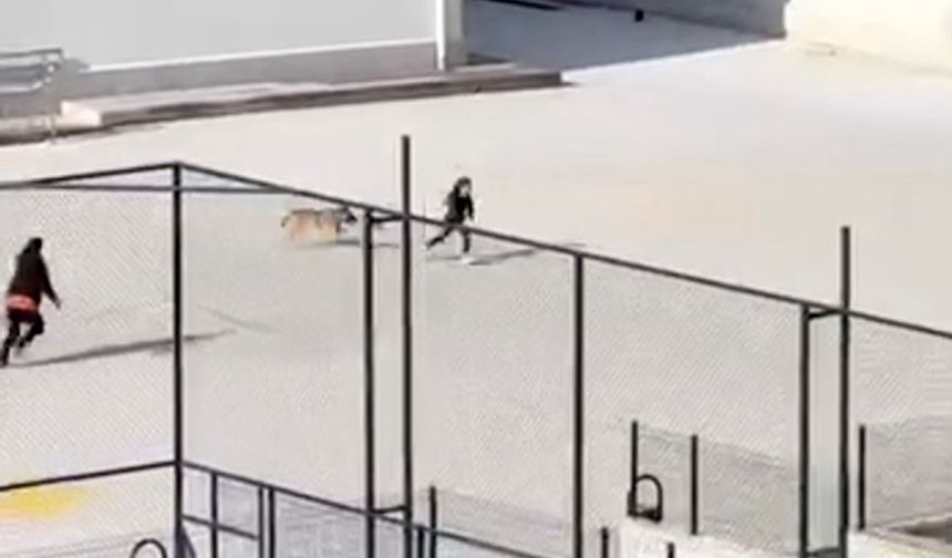 Okul bahçesinde büyük panik! İşte o anlar