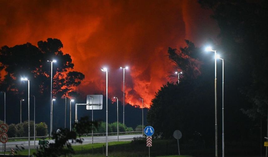 Sanayi bölgesinde şiddetli patlama! Çok sayıda yaralı var