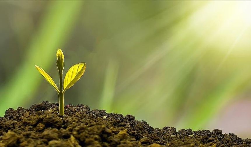 Bakanlık'tan çevre yatırımlarına güçlü destek! Yerel yönetimlere 96 milyar liralık çevre desteği…