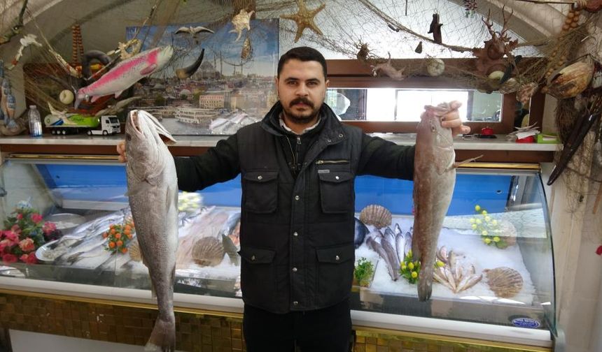 Gaziantep'te balık, kebabın tahtını sallıyor! Vatandaşlar balığa yöneldi...