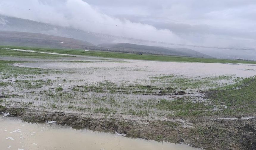Gaziantep'te tarım arazileri su altında kaldı! “Acil çözüm bekliyoruz"