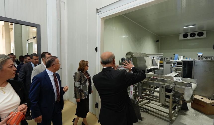 Gaziantep’te Türkiye’nin en büyük sarımsak işleme tesisine Şahin’den ziyaret