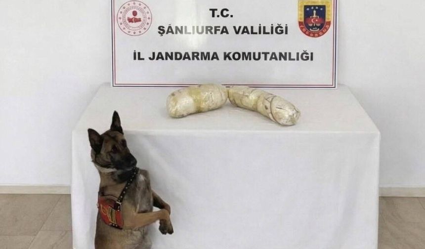Gaziantep’in komşu ilinde 2 kilogram uyuşturucu ele geçirildi! 2 gözaltı…