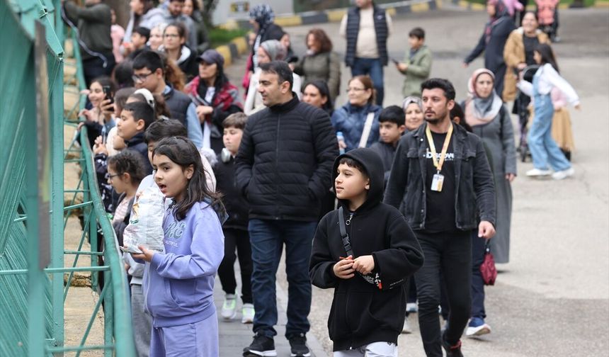 Gaziantep Hayvanat Bahçesi 3 ayda 1,5 milyonun üzerinde ziyaretçi çekti