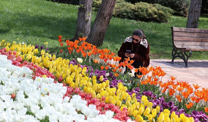Gaziantep Botanik Bahçesi'nde ilkbahar renkleri hakim oldu!