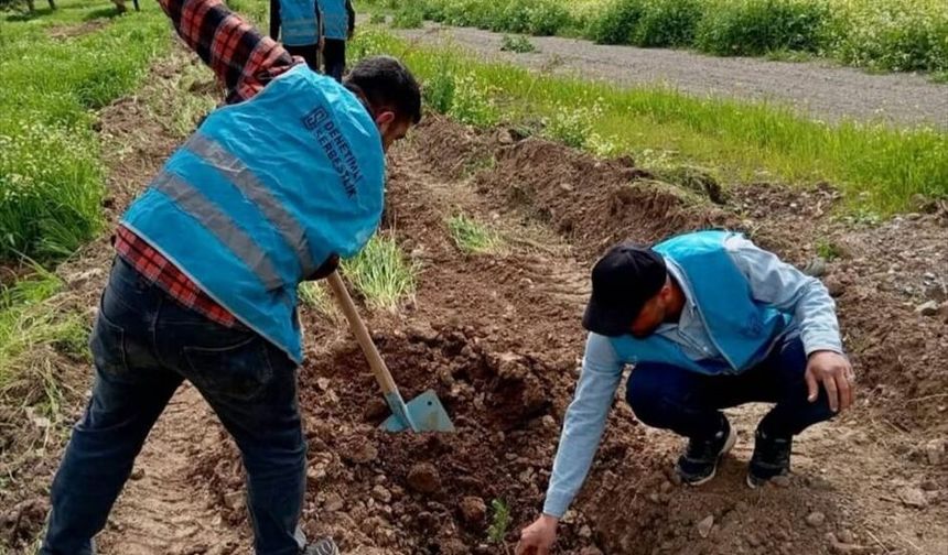 Gaziantep’te 400 çam fidanı toprakla buluştu!