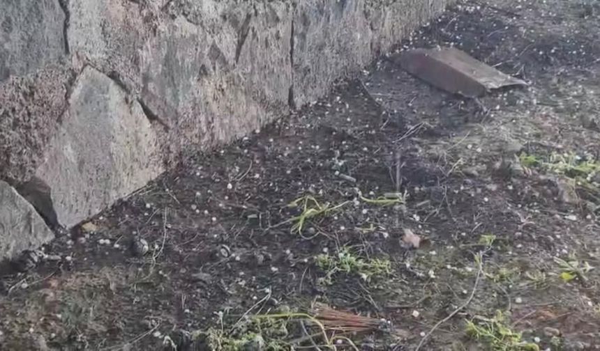 Gaziantep'te nohut büyüklüğünde dolu yağdı: Ekinler zarar gördü